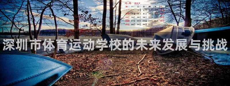 oety欧亿体育官网下载注册：深圳市体育运动学校的未
