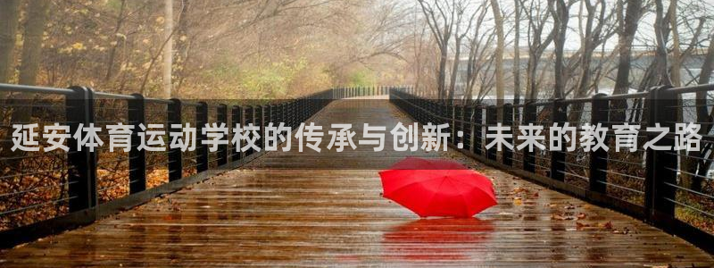 oety欧亿体育官网下载平台注册流程视频：延安体育运