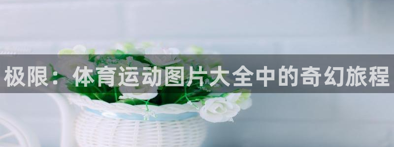 oety欧亿体育官网下载招商电话是多少啊：极限：体育