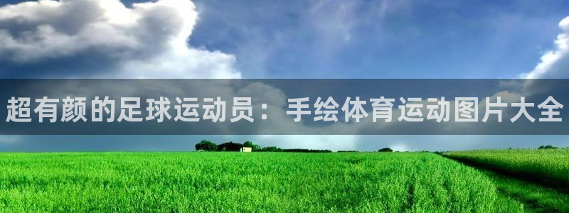 欧亿体育官方正版app娱乐首页网站大全：超有颜的足球