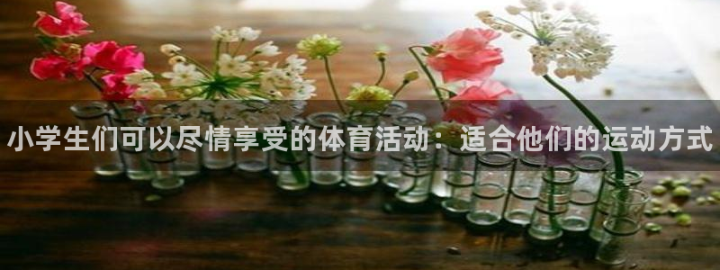 oety欧亿体育官网下载开户：小学生们可以尽情享受的体育活动