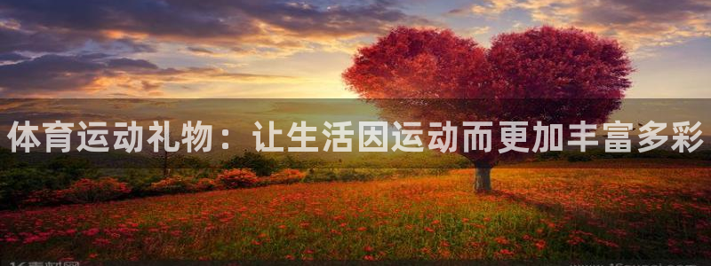 oety欧亿体育官网下载平台注册要钱吗：体育运动礼物：让生活