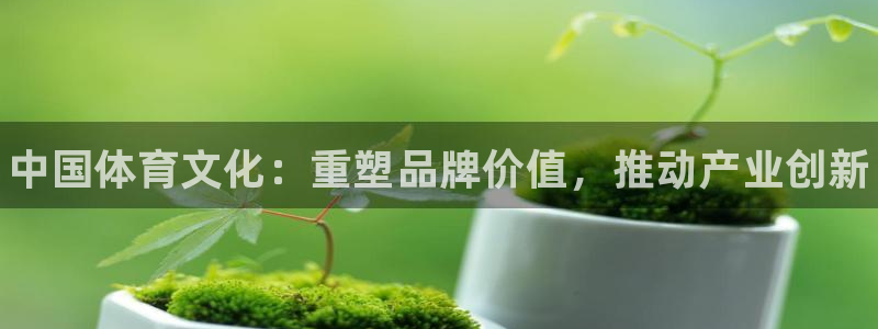 oety欧亿体育官网下载联系电话：中国体育文化：重塑品牌价值