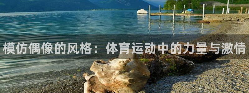 欧亿体育官方平台体育：模仿偶像的风格：体育运动中的力量与激情