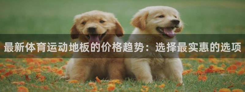 欧亿体育官方正版app新能源