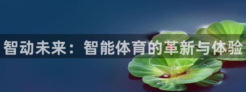 欧亿体育官方正版app集团logo：智动未来：智能体