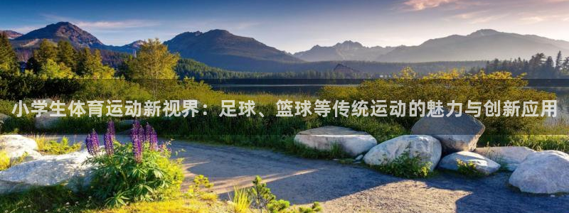 oety欧亿体育官网下载招商电话号码