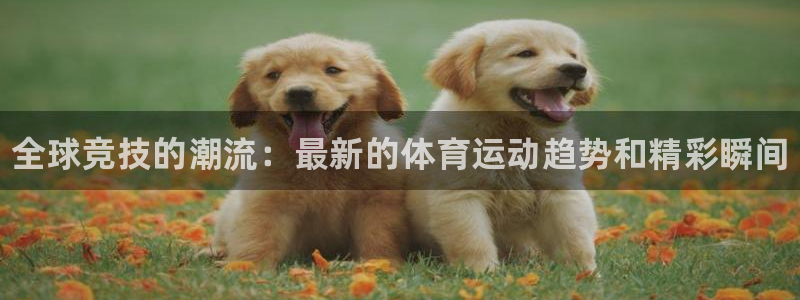 oety欧亿体育官网下载招商电话号码是多少号：全球竞技的潮流