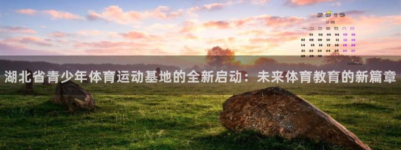 oety欧亿体育官网下载平台注册流程图：湖北省青少年