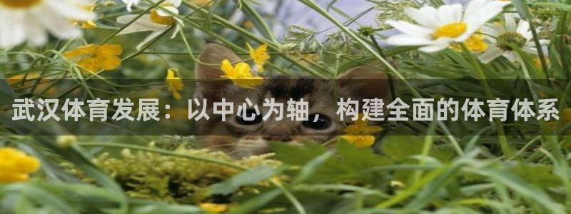 oety欧亿体育官网下载平台注册流程视频：武汉体育发