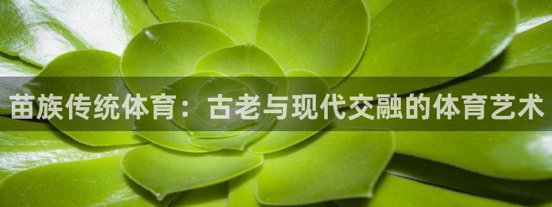 欧亿体育官方正版app集团官网网址