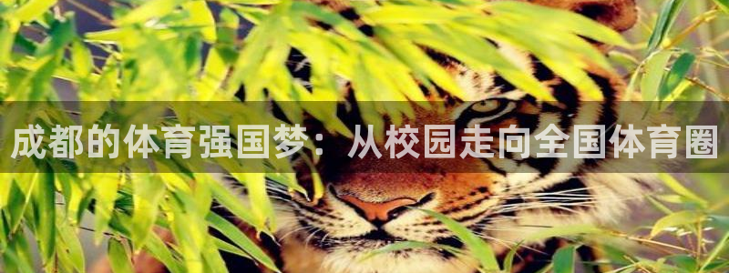 oety欧亿体育官网下载是干嘛的公司：成都的体育强国梦：从校