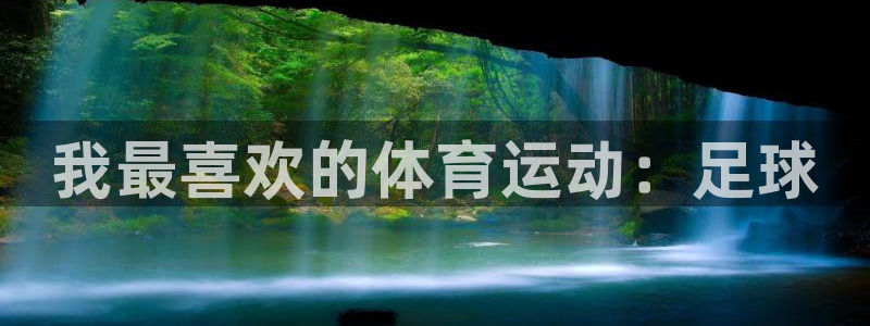 欧亿网址：我最喜欢的体育运动：足球