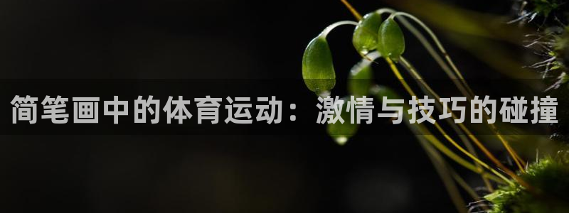 oe欧亿交易所app官方下载：简笔画