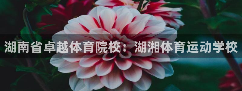 oety欧亿体育官网下载招商电话地址查询：湖南省卓越体育院校
